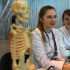 Зарплаты для врачей вырастут в Петербурге